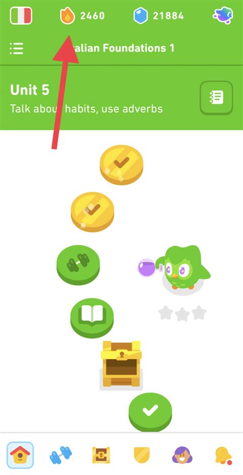 duolingo streak freeze|highest duolingo streak.